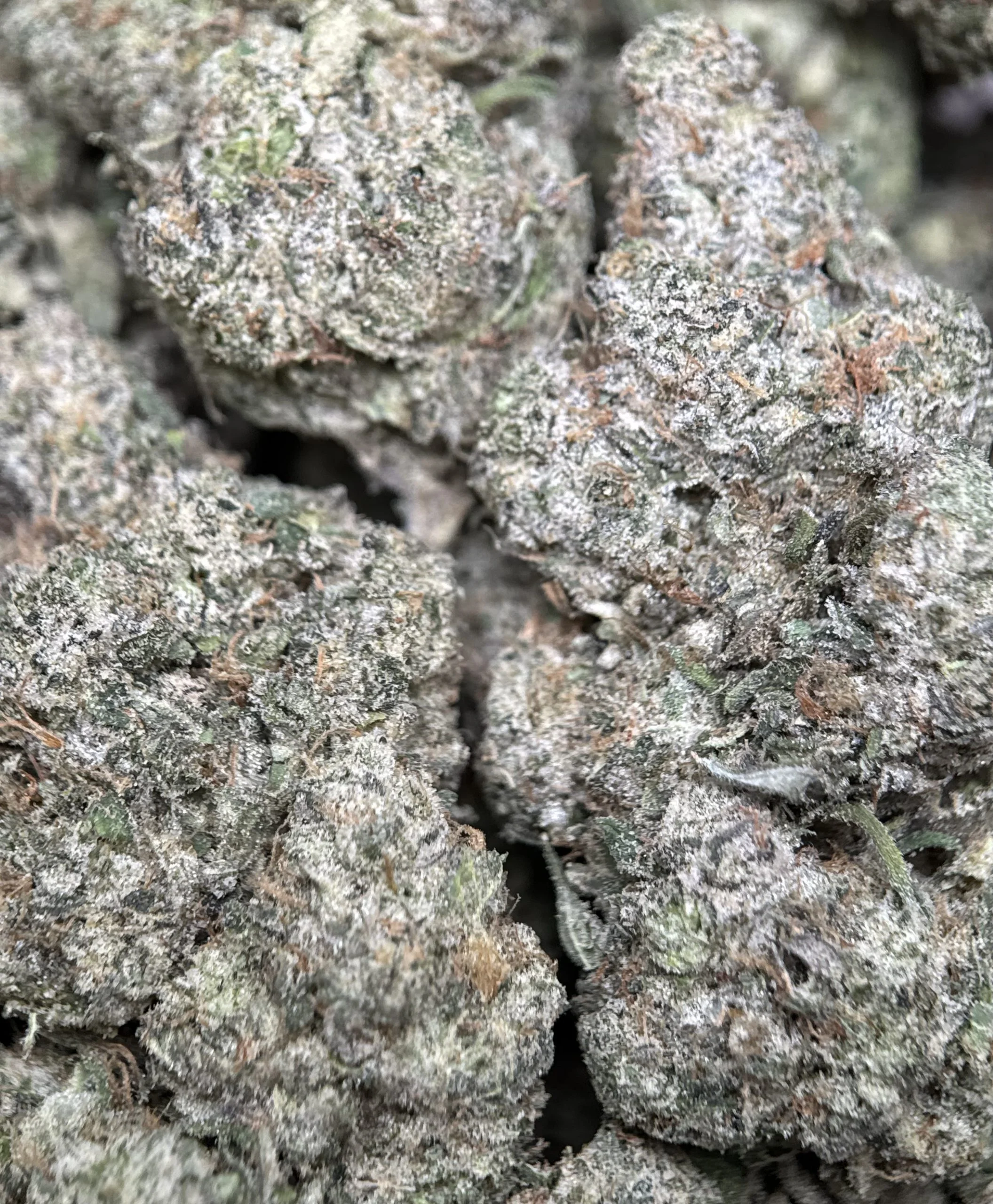 Blue City Diesel photo 3